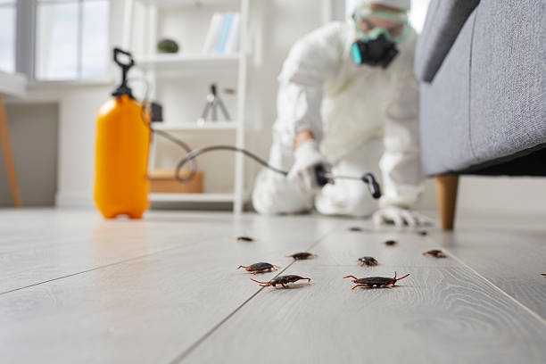Commercial Kitchen Cockroach Control in Glen Rock
